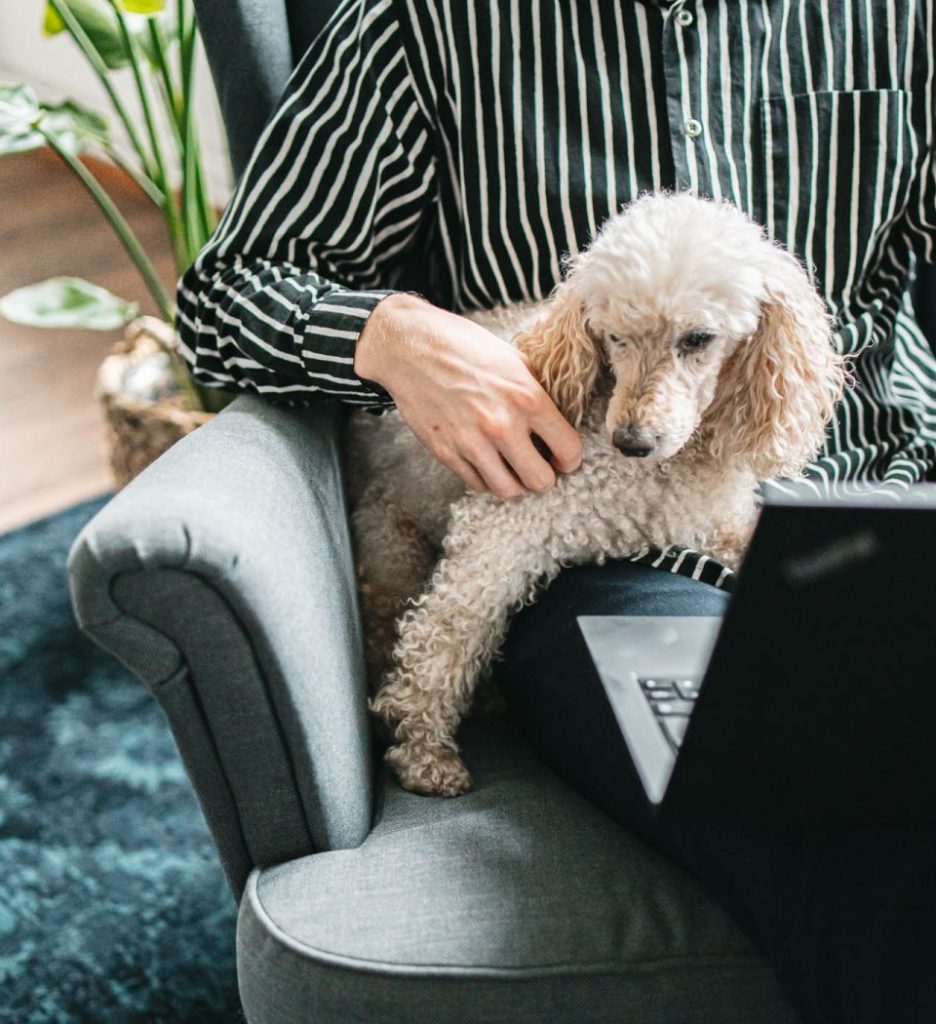 RPA ohjelmistorobotiikka